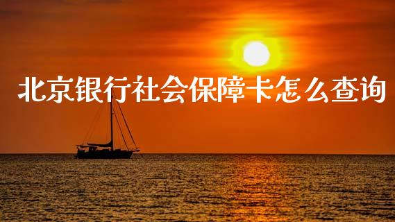 北京银行社会保障卡怎么查询_https://wap.sdyuehang.cn_产经新闻_第1张