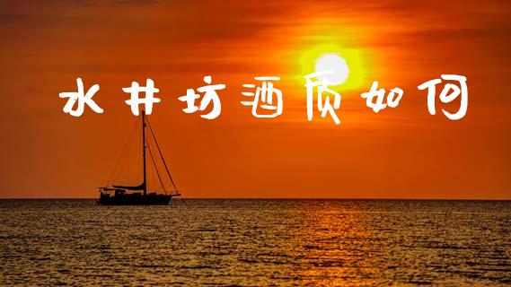 水井坊酒质如何_https://wap.sdyuehang.cn_产经新闻_第1张