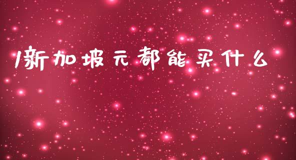 1新加坡元都能买什么_https://wap.sdyuehang.cn_新股申购_第1张