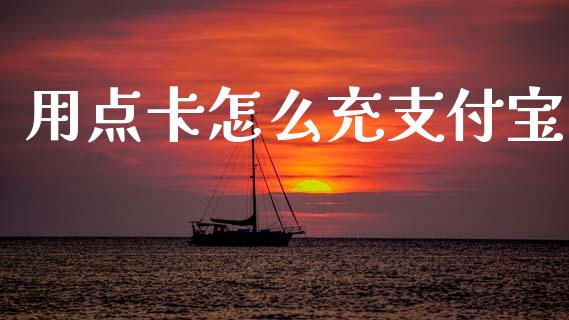 用点卡怎么充支付宝_https://wap.sdyuehang.cn_美股行情_第1张