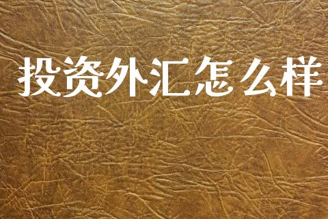 投资外汇怎么样_https://wap.sdyuehang.cn_新股申购_第1张