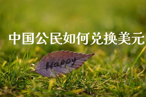 中国公民如何兑换美元_https://wap.sdyuehang.cn_产经新闻_第1张