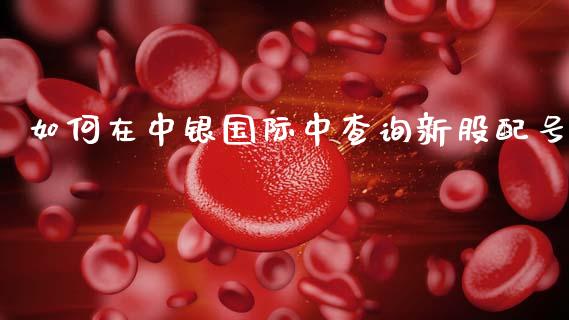 如何在中银国际中查询新股配号_https://wap.sdyuehang.cn_债券资讯_第1张