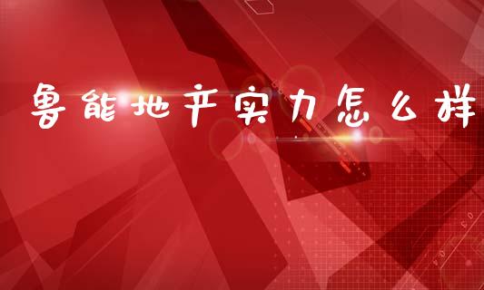 鲁能地产实力怎么样_https://wap.sdyuehang.cn_美股行情_第1张