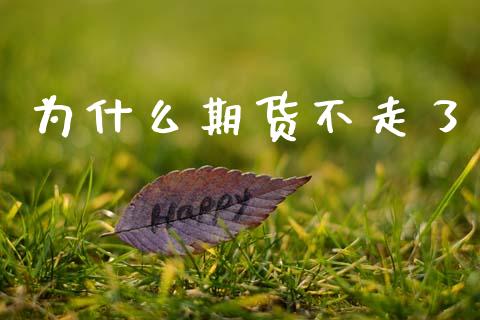 为什么期货不走了_https://wap.sdyuehang.cn_债券资讯_第1张