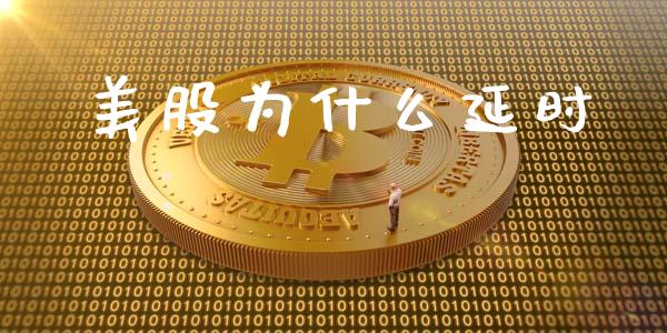 美股为什么延时_https://wap.sdyuehang.cn_新股申购_第1张