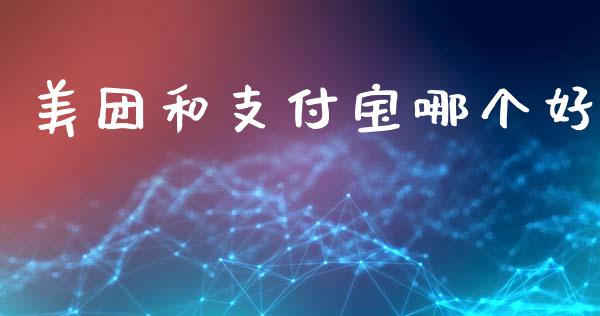 美团和支付宝哪个好_https://wap.sdyuehang.cn_债券资讯_第1张