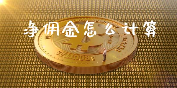 净佣金怎么计算_https://wap.sdyuehang.cn_新股申购_第1张