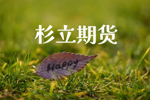 杉立期货_https://wap.sdyuehang.cn_产经新闻_第1张