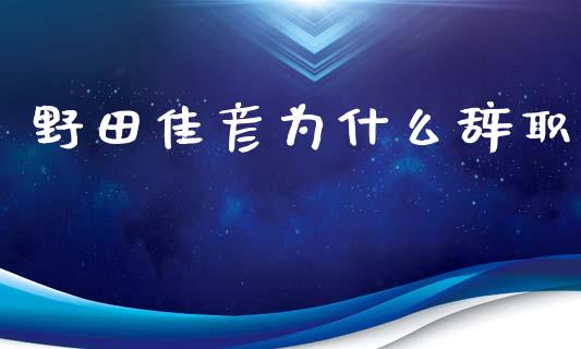 野田佳彦为什么辞职_https://wap.sdyuehang.cn_新股申购_第1张