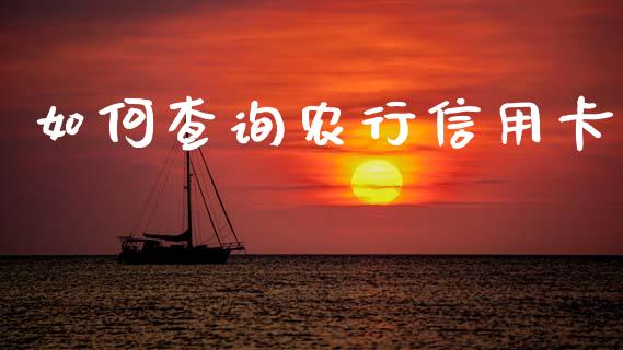如何查询农行信用卡_https://wap.sdyuehang.cn_新股申购_第1张