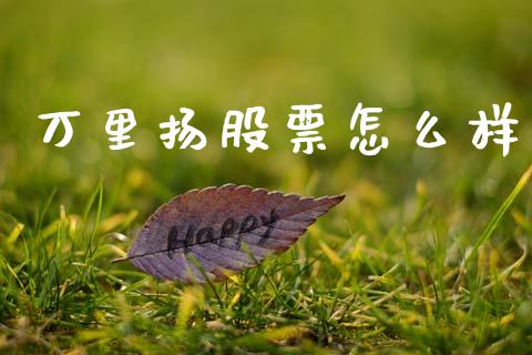 万里扬股票怎么样_https://wap.sdyuehang.cn_新股申购_第1张