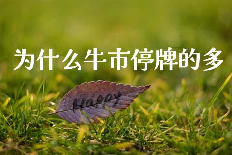 为什么牛市停牌的多_https://wap.sdyuehang.cn_产经新闻_第1张