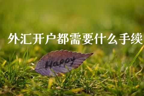 外汇开户都需要什么手续_https://wap.sdyuehang.cn_产经新闻_第1张