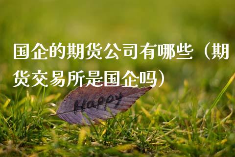 国企的期货公司有哪些（期货交易所是国企吗）_https://wap.sdyuehang.cn_美股行情_第1张