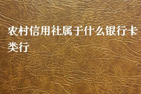农村信用社属于什么银行卡类行_https://wap.sdyuehang.cn_债券资讯_第1张