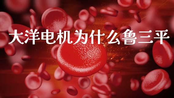 大洋电机为什么鲁三平_https://wap.sdyuehang.cn_新股申购_第1张