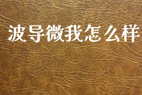 波导微我怎么样_https://wap.sdyuehang.cn_产经新闻_第1张