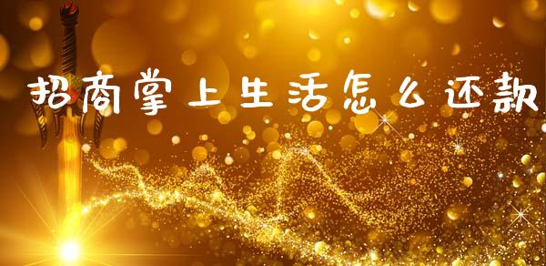 招商掌上生活怎么还款_https://wap.sdyuehang.cn_债券资讯_第1张