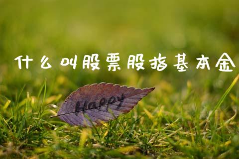 什么叫股票股指基本金_https://wap.sdyuehang.cn_产经新闻_第1张