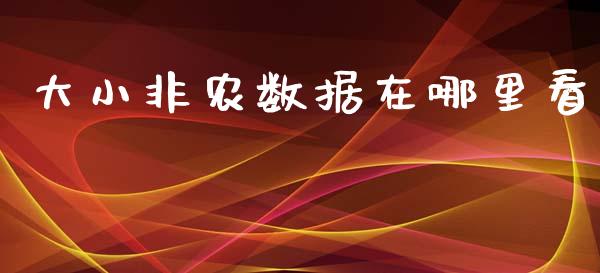 大小非农数据在哪里看_https://wap.sdyuehang.cn_新股申购_第1张
