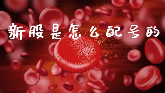新股是怎么配号的_https://wap.sdyuehang.cn_产经新闻_第1张