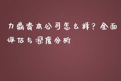 力鼎资本公司怎么样？全面评估与深度分析_https://wap.sdyuehang.cn_债券资讯_第1张