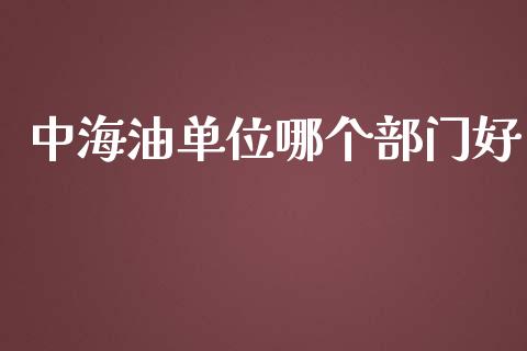 中海油单位哪个部门好_https://wap.sdyuehang.cn_美股行情_第1张