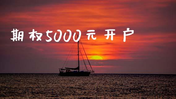 期权5000元开户_https://wap.sdyuehang.cn_新股申购_第1张