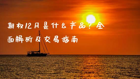 期权12月是什么产品？全面解析及交易指南_https://wap.sdyuehang.cn_债券资讯_第1张