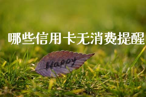 哪些信用卡无消费提醒_https://wap.sdyuehang.cn_产经新闻_第1张