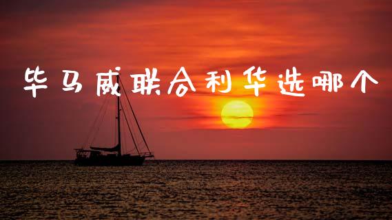 毕马威联合利华选哪个_https://wap.sdyuehang.cn_美股行情_第1张