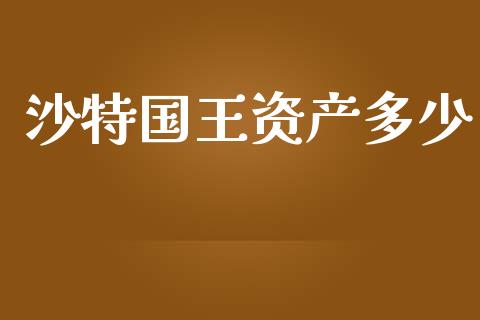 沙特国王资产多少_https://wap.sdyuehang.cn_债券资讯_第1张