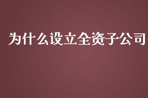 为什么设立全资子公司_https://wap.sdyuehang.cn_债券资讯_第1张