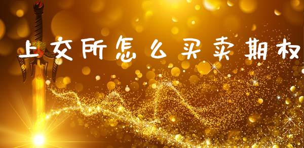 上交所怎么买卖期权_https://wap.sdyuehang.cn_产经新闻_第1张