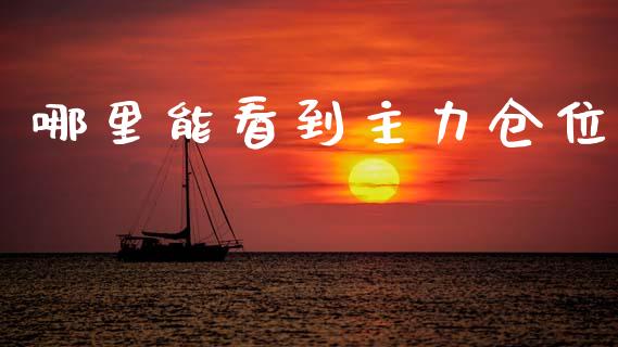 哪里能看到主力仓位_https://wap.sdyuehang.cn_产经新闻_第1张