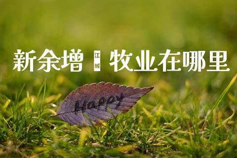 新余增鑫牧业在哪里_https://wap.sdyuehang.cn_美股行情_第1张