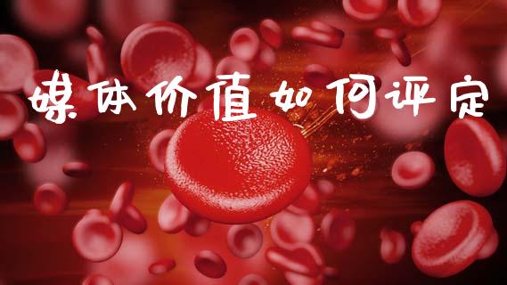 媒体价值如何评定_https://wap.sdyuehang.cn_债券资讯_第1张