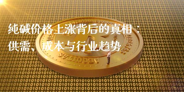 纯碱价格上涨背后的真相：供需、成本与行业趋势_https://wap.sdyuehang.cn_债券资讯_第1张