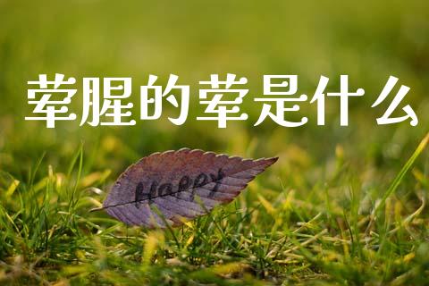 荤腥的荤是什么_https://wap.sdyuehang.cn_新股申购_第1张