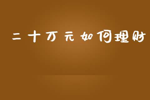 二十万元如何理财_https://wap.sdyuehang.cn_债券资讯_第1张