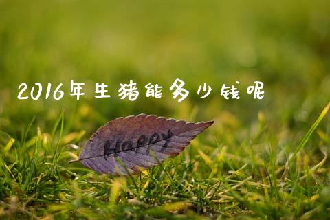 2016年生猪能多少钱呢_https://wap.sdyuehang.cn_债券资讯_第1张