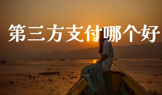 第三方支付哪个好_https://wap.sdyuehang.cn_债券资讯_第1张