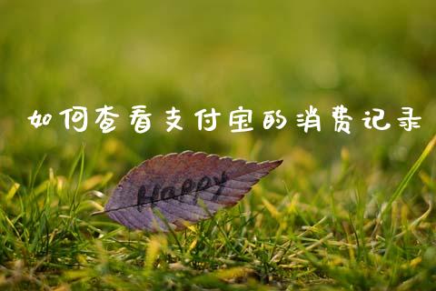 如何查看支付宝的消费记录_https://wap.sdyuehang.cn_产经新闻_第1张