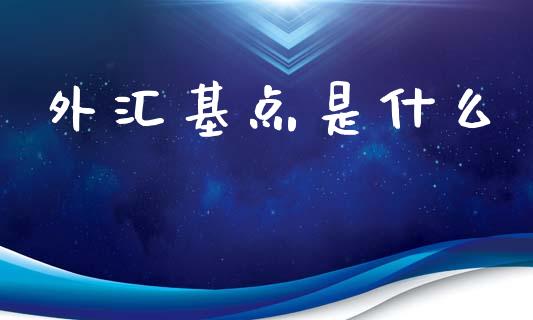 外汇基点是什么_https://wap.sdyuehang.cn_美股行情_第1张