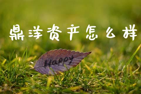 鼎洋资产怎么样_https://wap.sdyuehang.cn_产经新闻_第1张