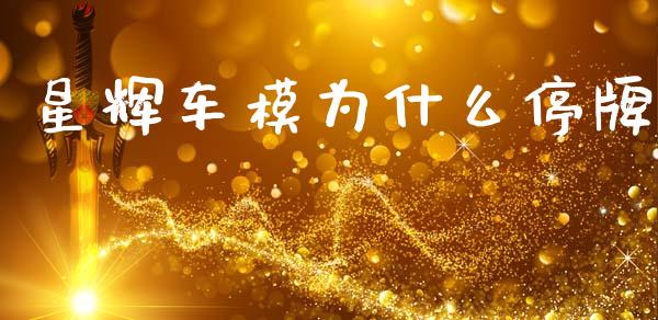 星辉车模为什么停牌_https://wap.sdyuehang.cn_新股申购_第1张