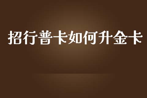 招行普卡如何升金卡_https://wap.sdyuehang.cn_美股行情_第1张