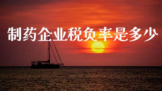 制药企业税负率是多少_https://wap.sdyuehang.cn_产经新闻_第1张