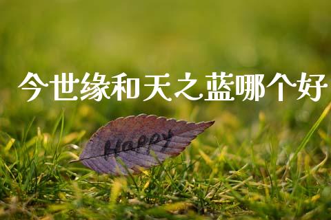 今世缘和天之蓝哪个好_https://wap.sdyuehang.cn_债券资讯_第1张